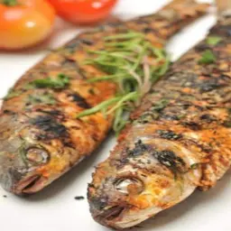 Grilled Mullet Fish
